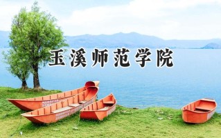 2024玉溪师范学院录取分数线：河南最低454分