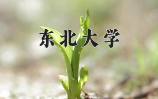 2025年东北大学在四川计划招生人数（附学费及专业录取分)
