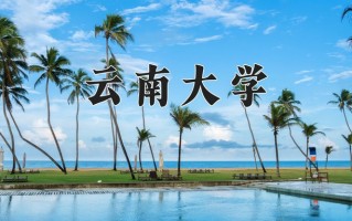 2025年云南大学在新疆计划招生人数（附学费及专业录取分)