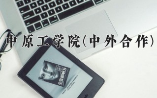 2025年中原工学院(中外合作)在重庆计划招生人数（附学费及专业录取分)