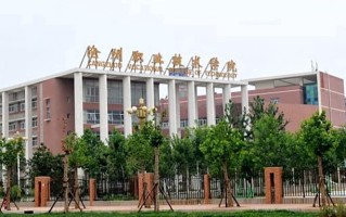 2024年沧州职业技术学院录取分数线，河北最低323分
