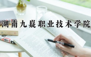 2025年湖南九嶷职业技术学院在四川计划招生人数（附学费及专业录取分)