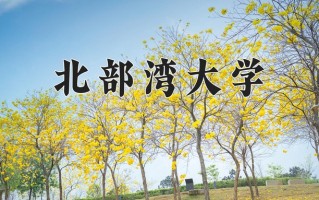 2025年北部湾大学在河南计划招生人数（附学费及专业录取分)