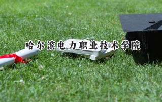 2024哈尔滨电力职业技术学院录取分数线：江苏最低429分