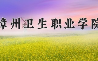 2025年漳州卫生职业学院在新疆计划招生人数（附学费及专业录取分)