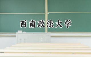 西南政法大学2024在上海录取分数线是多少？最低543分/最高544分