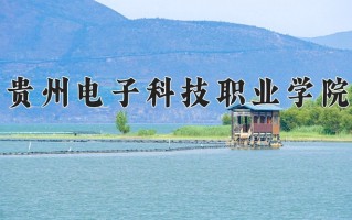 2025年贵州电子科技职业学院在四川计划招生人数（附学费及专业录取分)