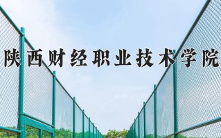 2025年陕西财经职业技术学院在河南计划招生人数（附学费及专业录取分)