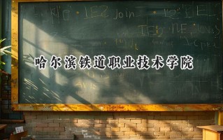哈尔滨铁道职业技术学院2024在青海录取分数线是多少？最低302分/最高374分