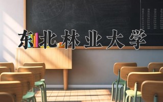 2025年东北林业大学在新疆计划招生人数（附学费及专业录取分)