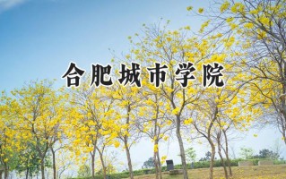 合肥城市学院2024在上海录取分数线是多少？最低403分/最高404分