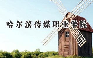 2024哈尔滨传媒职业学院录取分数线：陕西最低206分