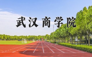2025年武汉商学院在河南计划招生人数（附学费及专业录取分)