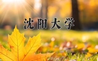 2025年沈阳大学在四川计划招生人数（附学费及专业录取分)