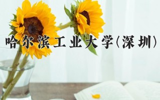 2025年哈尔滨工业大学(深圳)在河北计划招生人数（附学费及专业录取分)