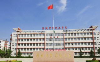 2024年运城护理职业学院录取分数线，河北最低419分