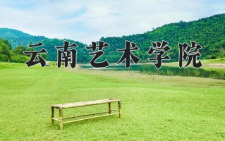 2025年云南艺术学院在四川计划招生人数（附学费及专业录取分)