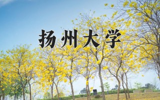 2024年扬州大学录取分数线，内蒙古最低485分