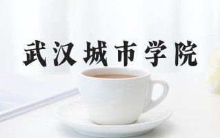 2025年武汉城市学院在四川计划招生人数（附学费及专业录取分)