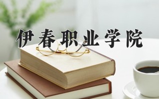 2025年伊春职业学院在河南计划招生人数（附学费及专业录取分)