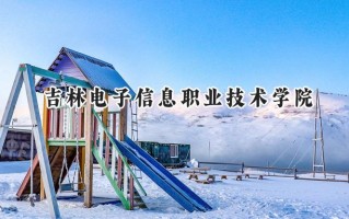 吉林电子信息职业技术学院2024在山东录取分数线是多少？最低335分/最高421分