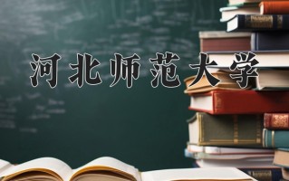 青海393分能上什么好大学？附2025年可以报考的大学名单