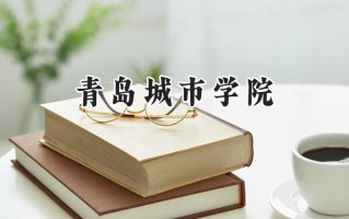 2024青岛城市学院录取分数线：江苏最低464分