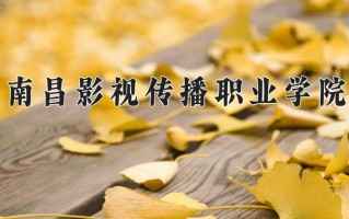 2025年南昌影视传播职业学院在河南计划招生人数（附学费及专业录取分)