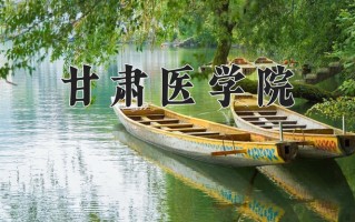 2025年甘肃医学院在新疆计划招生人数（附学费及专业录取分)