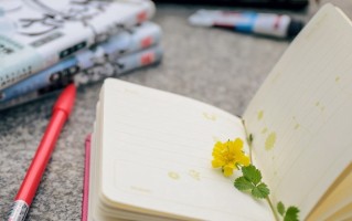 编辑出版学专业重庆录取分数线：2025最低551分