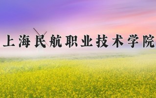 2025年上海民航职业技术学院在新疆计划招生人数（附学费及专业录取分)