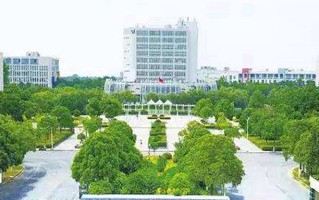 2024年盐城幼儿师范高等专科学校录取分数线，河北最低341分