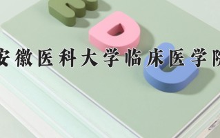 2025年安徽医科大学临床医学院在河南计划招生人数（附学费及专业录取分)