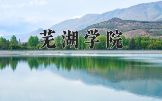 芜湖学院王牌专业有哪些？附2025最新王牌专业排名一览表