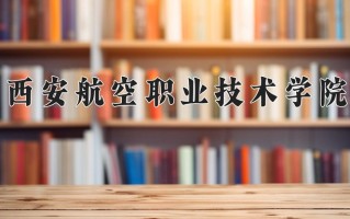 2025年西安航空职业技术学院在新疆计划招生人数（附学费及专业录取分)