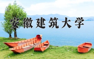 2025年安徽建筑大学在河南计划招生人数（附学费及专业录取分)