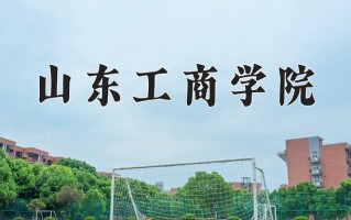 2025年山东工商学院在河南计划招生人数（附学费及专业录取分)
