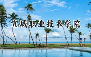 2024宣城职业技术学院录取分数线：河南最低302分