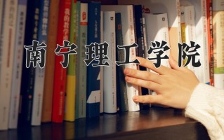 2024年南宁理工学院录取分数线，青海最低329分