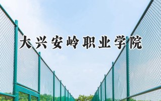 2024大兴安岭职业学院录取分数线：宁夏最低334分