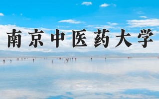 2025年南京中医药大学在河南计划招生人数（附学费及专业录取分)