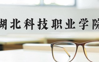 2024年湖北科技职业学院录取分数线，新疆最低182分