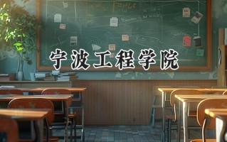 2024宁波工程学院录取分数线：陕西最低457分