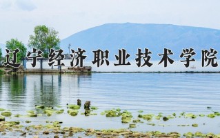 2025年辽宁经济职业技术学院在新疆计划招生人数（附学费及专业录取分)