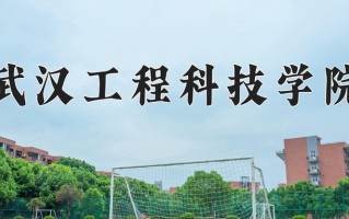 2025年武汉工程科技学院在四川计划招生人数（附学费及专业录取分)
