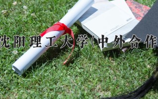 2025年沈阳理工大学(中外合作)在重庆计划招生人数（附学费及专业录取分)