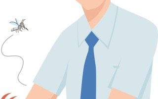 河北网友家中发现白纹伊蚊 白纹伊蚊会传播什么疾病