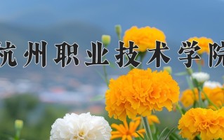 2025年杭州职业技术学院在四川计划招生人数（附学费及专业录取分)