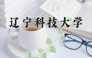 2025年辽宁科技大学在四川计划招生人数（附学费及专业录取分)