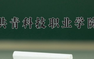 2025年共青科技职业学院在河南计划招生人数（附学费及专业录取分)